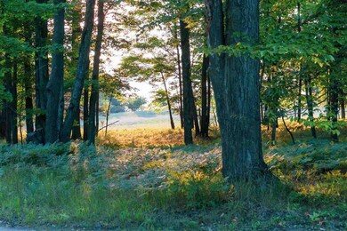 2673 Whitmarsh Rd, Vanderbilt, MI 49795 - photo 5