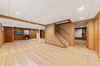 3743 Falkner Dr, Naperville, IL 60564 - photo 6