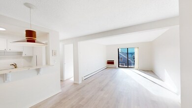 26 Waverly St unit 403, Brighton, MA 02135 - photo 6