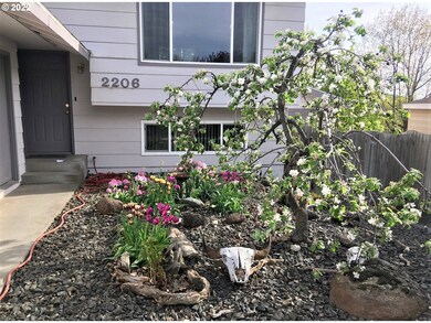 Front Yard