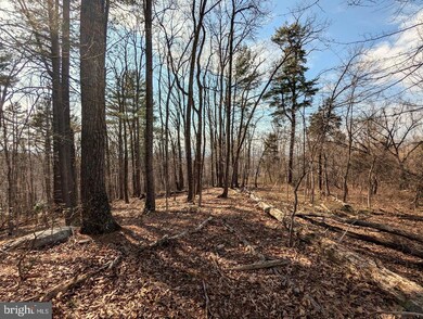 0 E Lee Hwy unit VASH2010608, New Market, VA 22844 - photo 4