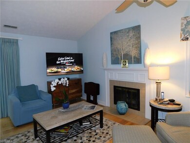 Fireplace view