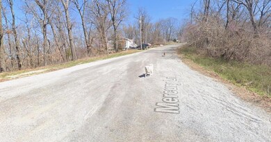 Lot 25 Mercury Ln, Holiday Island, AR 72631 - photo 4