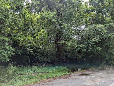 Lot 5-6,12 N Fulbright Ave, Springfield, MO 65803 - photo 5