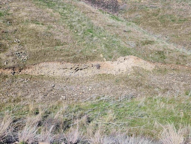 TBD Evans Rd, Clarkston, WA 99403 - photo 2