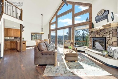 341 Rainbow Trail, Divide, CO 80814 - photo 5