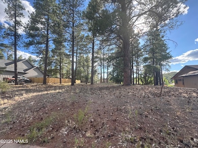 938 Torrey Pines Dr, Williams, AZ 86046 - photo 2