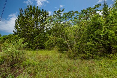 Lot 13 N Wilderness Trail, Kimberling City, MO 65686 - photo 5