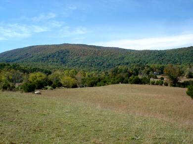 View of Hogback Mtn from Lower Meadow