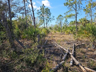 1095 Melville Rd, Punta Gorda, FL 33983 - photo 3