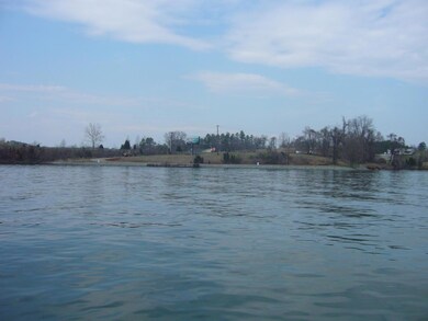 IMAGE7