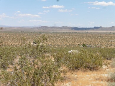 0 Cottonwood Rd unit JT19121135, Joshua Tree, CA 92252 - photo 5