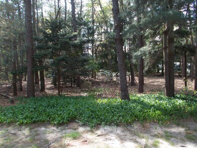 12a Bennington Lane (2)