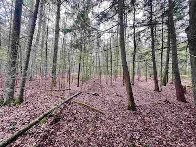 0 Bruette Rd unit 50312014, Wausaukee, City of, WI 54177 - photo 2