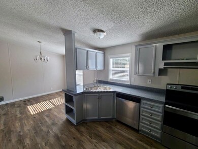 1315 Phoenix Ct, Granbury, TX 76048 - photo 5