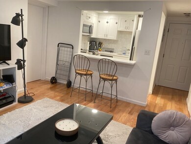 24 Peterborough St unit F, Boston, MA 02215 - photo 7