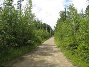 LOT 49 Forest View Dr, Effingham, NH 03882 - photo 5