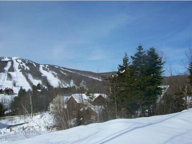 B Pinnacle View Dr unit B, Dover, VT 05356 - photo 7