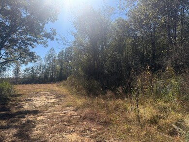 0 Cr7, Myrtle, MS 38650 - photo 7