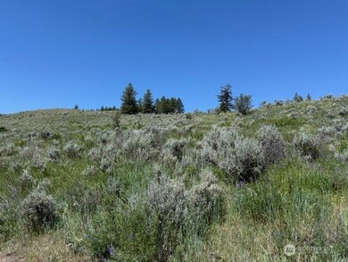 111 Tbd Ellemeham Ridge Rd, Oroville, WA 98844 - photo 4