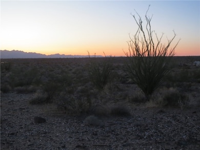 00 Arlington Rd, Yucca, AZ 86438 - photo 4