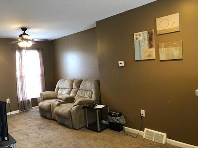 4822 Annual Dr, Canal Winchester, OH 43110 - photo 4