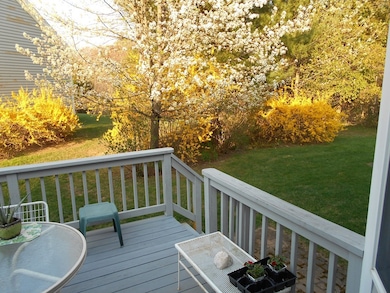 319 Stearns St unit 21, Carlisle, MA 01741 - photo 5