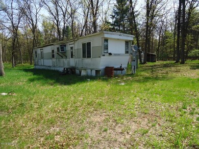 12372 N Bingham Ave, Bitely, MI 49309 - photo 2