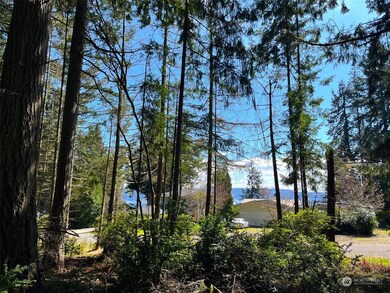 10228 Totem Way, Anderson Island, WA 98303 - photo 2