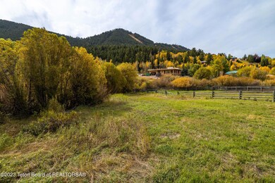 Fall Colors