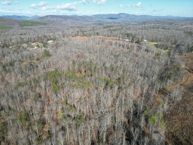 1275 Salem Rd, Schuyler, VA 22969 - photo 4