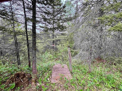 View of yard with a forest view