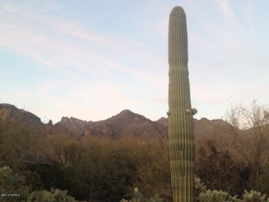 Desert Moon Lot 043
