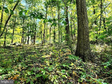 0 Parkside Rd unit VAWR2012298, Linden, VA 22642 - photo 5