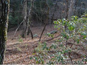 BEAUTIFUL wooded lot!!