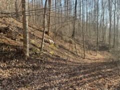 528 Early Deitz Rd, Sylva, NC 28779 - photo 6