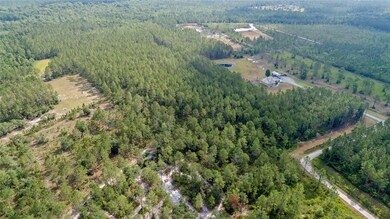 0 Wild Cur Rd, Pierson, FL 32180 - photo 5