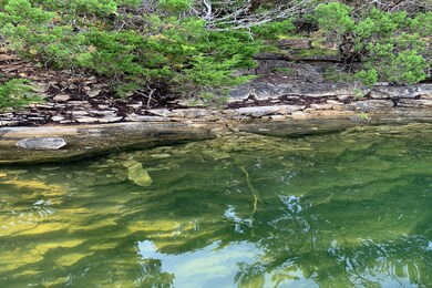 Clear waters along the Shoreline of Bull