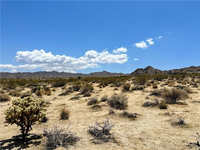 64100 Sullivan Rd, Joshua Tree, CA 92252 - photo 2