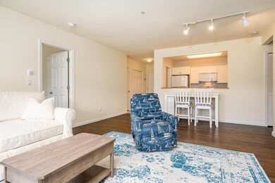 livroom7