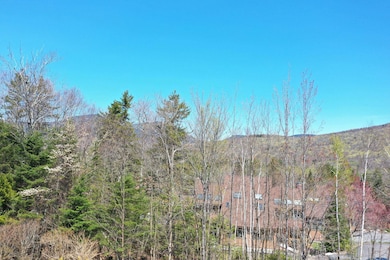 24-23 Bear Brook Ln, Watervl Vly, NH 03215 - photo 7