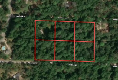 23495 Sweet Gum Dr, Hockley, TX 77447 - photo 7