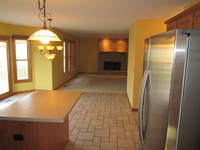 231 Isleview Dr, Oswego, IL 60543 - photo 4