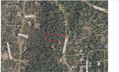 1970 S Pleasant View Dr, Show Low, AZ 85901 - photo 4