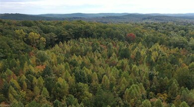 Lot 5 Granite Ridge Rd, Asheboro, NC 27205 - photo 4