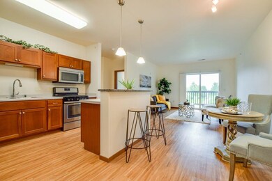 5194 Sassafras Dr unit 203, Fitchburg, WI 53711 - photo 3