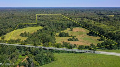 Clifton Rd-60 Acres-3a