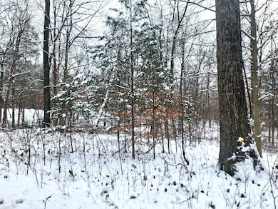 TBD Dogwood Acres Dr, Spice Valley Township, IN 47470 - photo 3