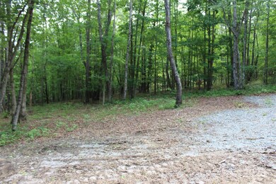 Lot 27 S Cross Creek Trail unit 27, Mill Spring, NC 28756 - photo 5
