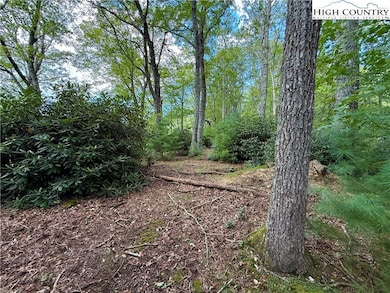 tbd Timber Rock Rd, Blowing Rock, NC 28607 - photo 3